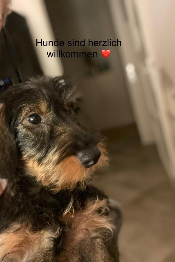 Appartement Strandapartment In Fuer 2-4 Personen *